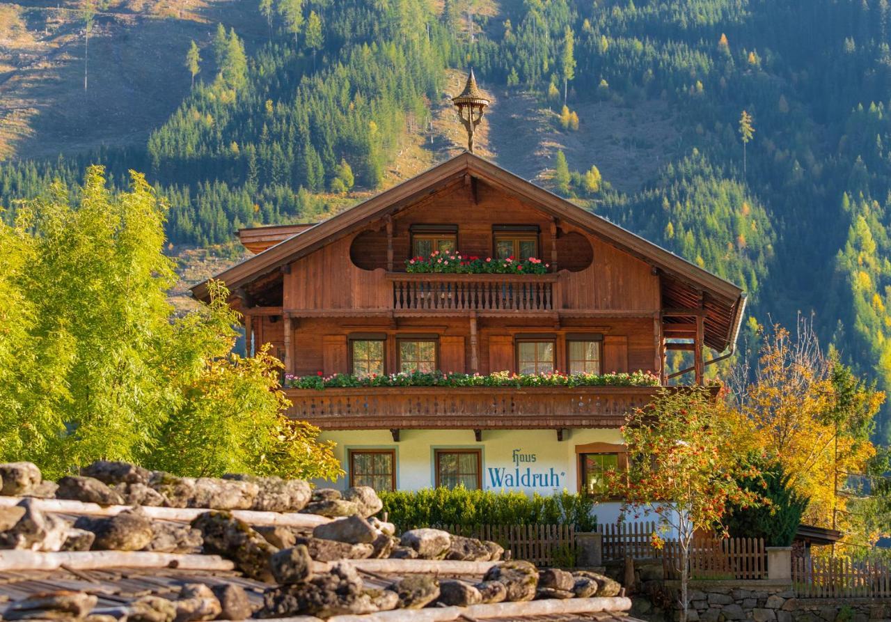 Gaestehaus Waldruh Brandberg Extérieur photo